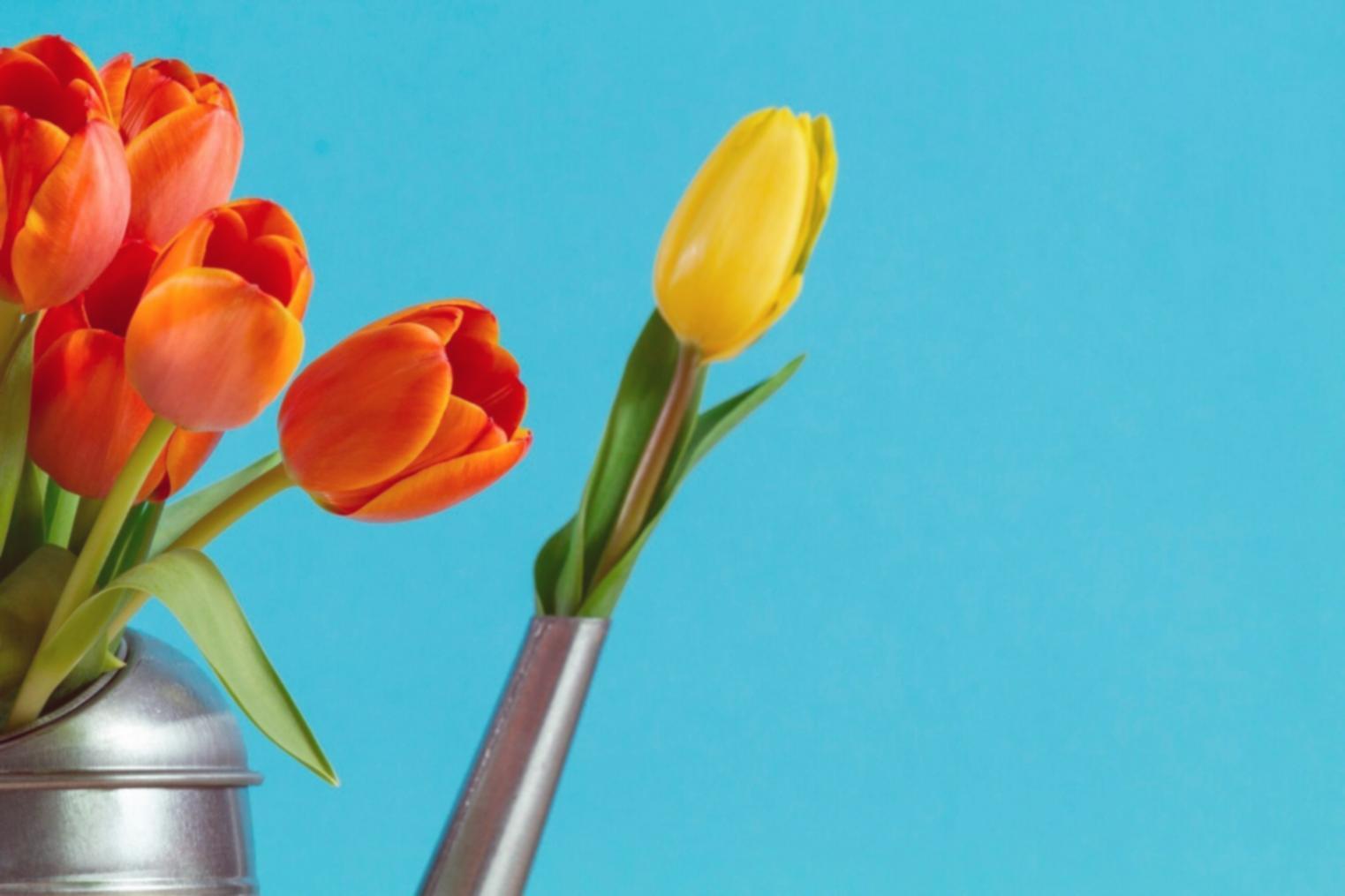 A completed floral arrangement showing balanced texture, colour harmony and structural form